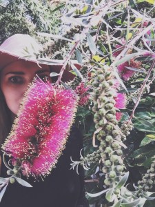 scotland-kc-botanic-garden